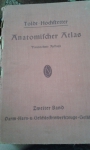 Toldts - Hochsstetter - Anatomicher Atlas - Zweiter Band - 1946